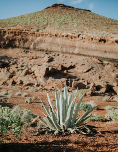 Barefootbride Lanzarote weddings planner